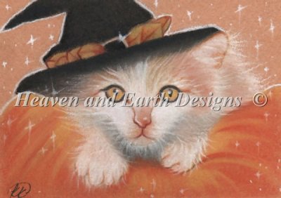 Diamond Painting Canvas - QS Kitty Witch